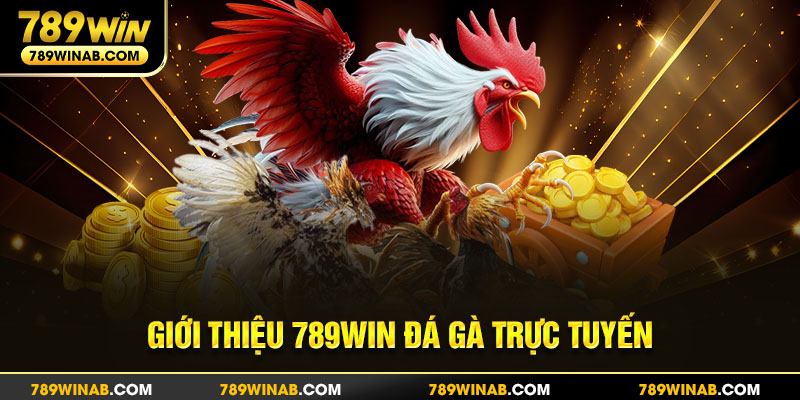 Sảnh cược đá gà online kịch tính hơn bao giờ hết tại 789win